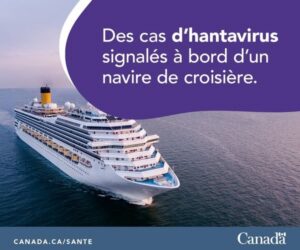 Hantavirus : rangez vos masques, ressortez vos théories